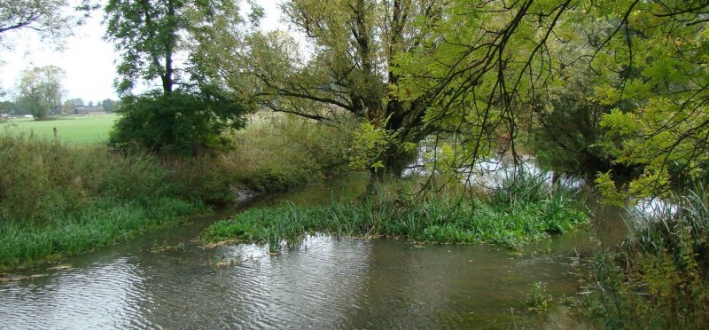 Hoogstambrigade Het Groene Woud