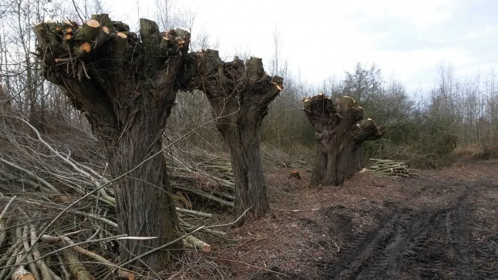 Werkochtend Kleine Landschaps Elementen