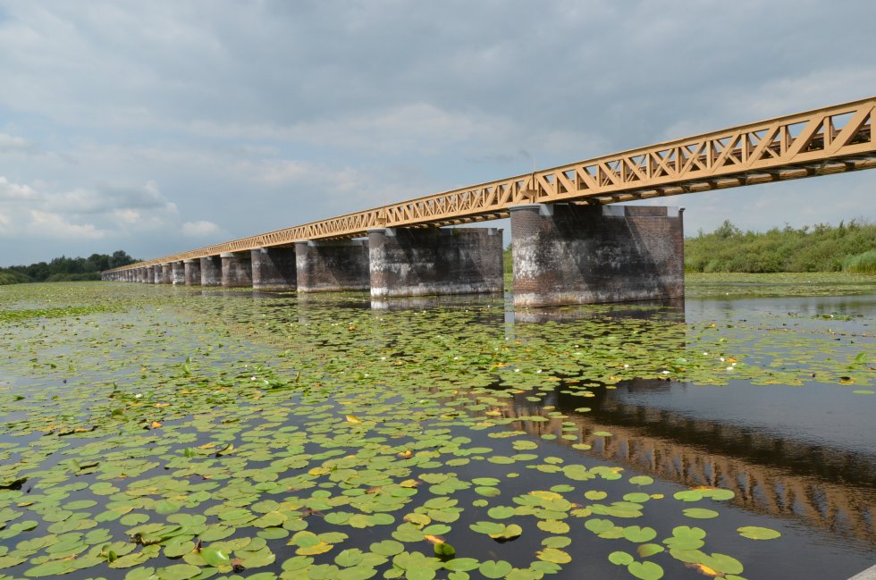 Wandeling Moerputten Vlijmen