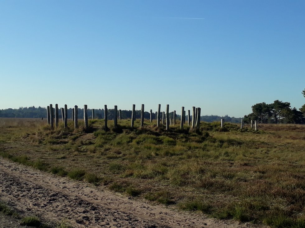 Wandeling Regte Heide 30 september 2018