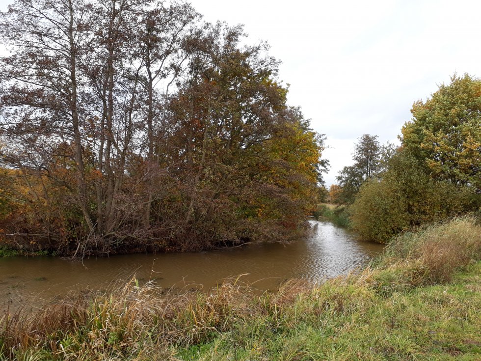 Wandeling Aadal Middelrode 11 november 2018