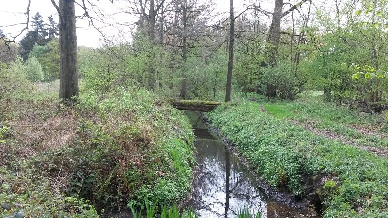 Wandeling over landgoed Velder