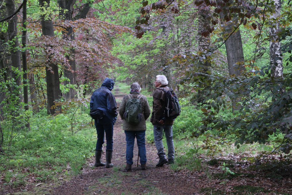 Maak kennis met de plantenwerkgroep