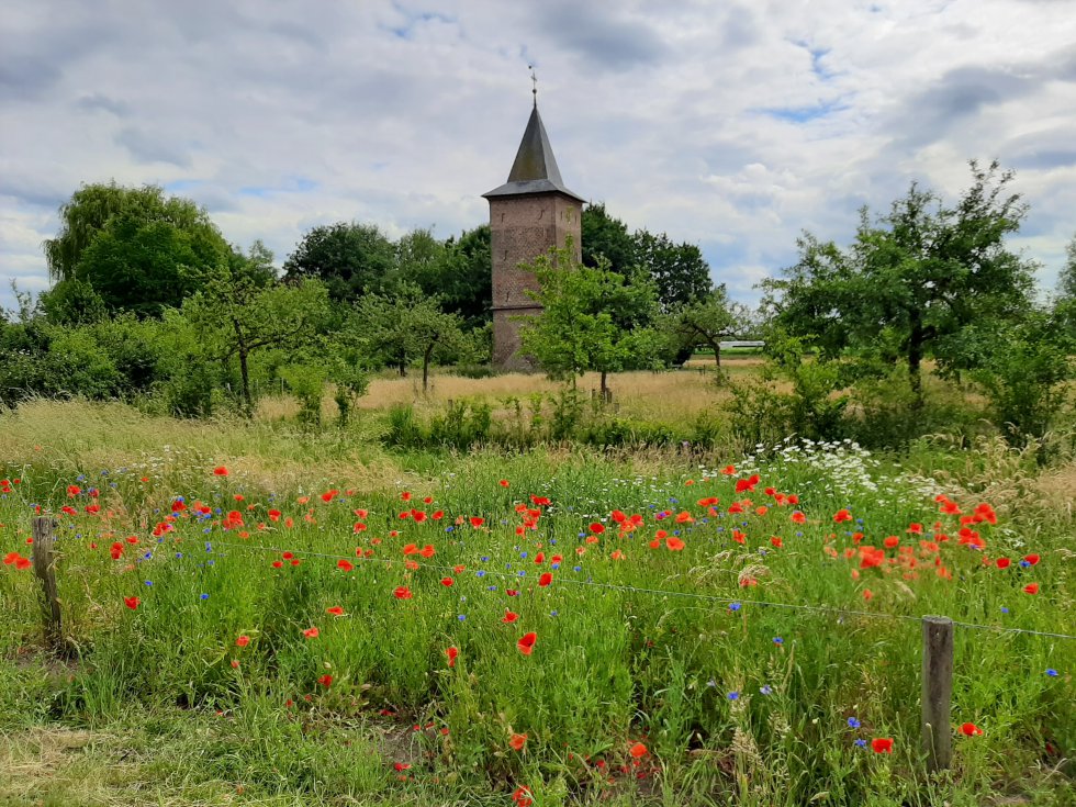 Geen Lock Down voor de natuur