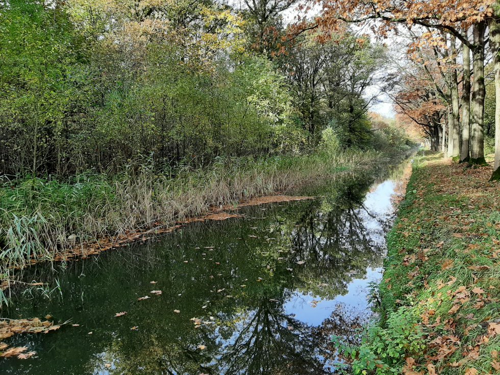 Wandeling Wijboschbroek 31-10-2021