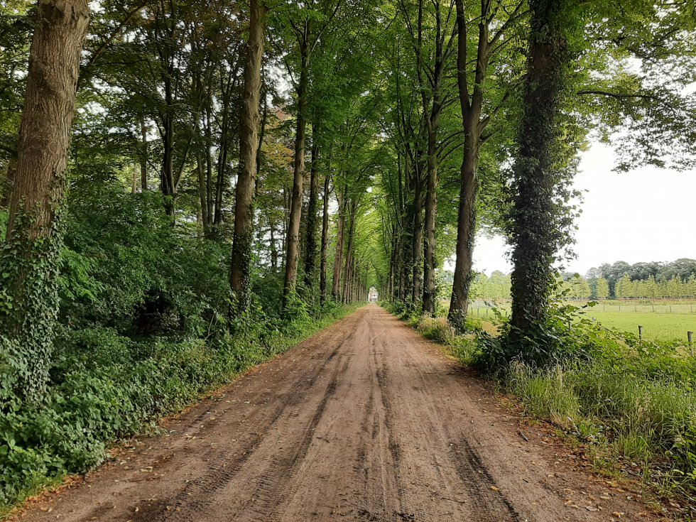 Wandeling Rondje Rijsingen St.Oedenrode