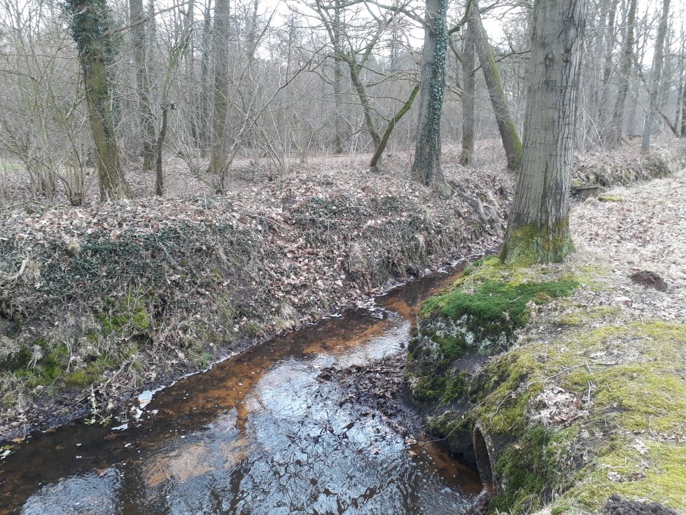 Wandeling Banisveld Boxtel