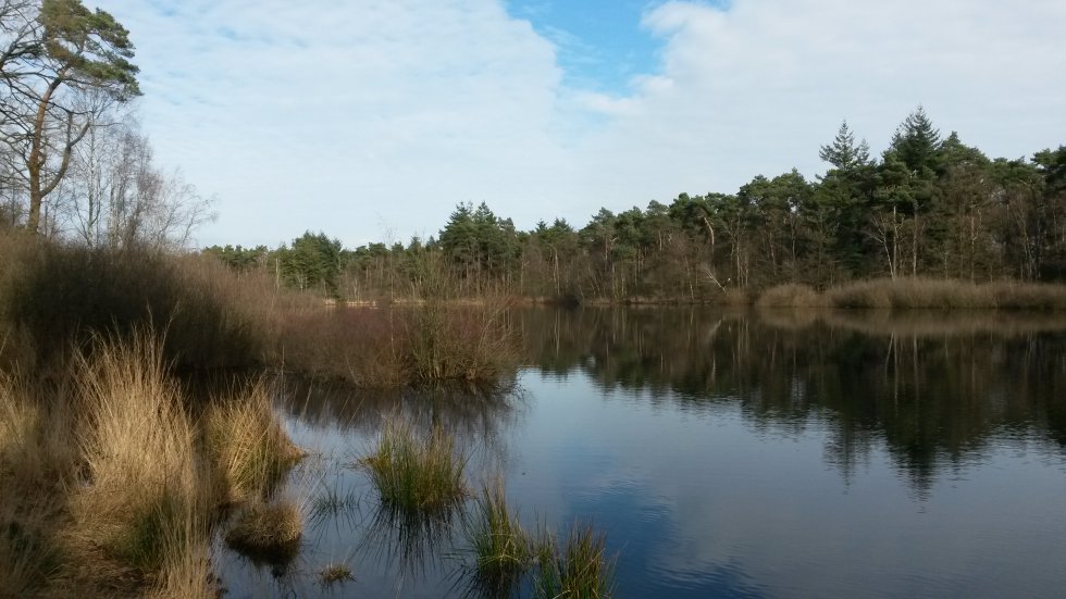 Wandeling Oisterwijkse Bossen en Vennen
