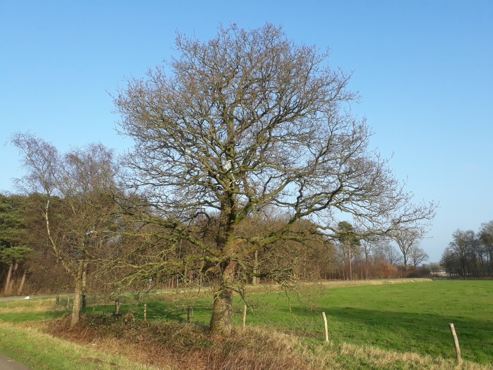 Wandeling De Mortelen