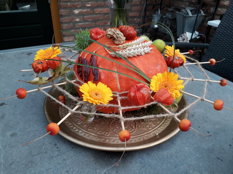 Vrijwilligersdag
