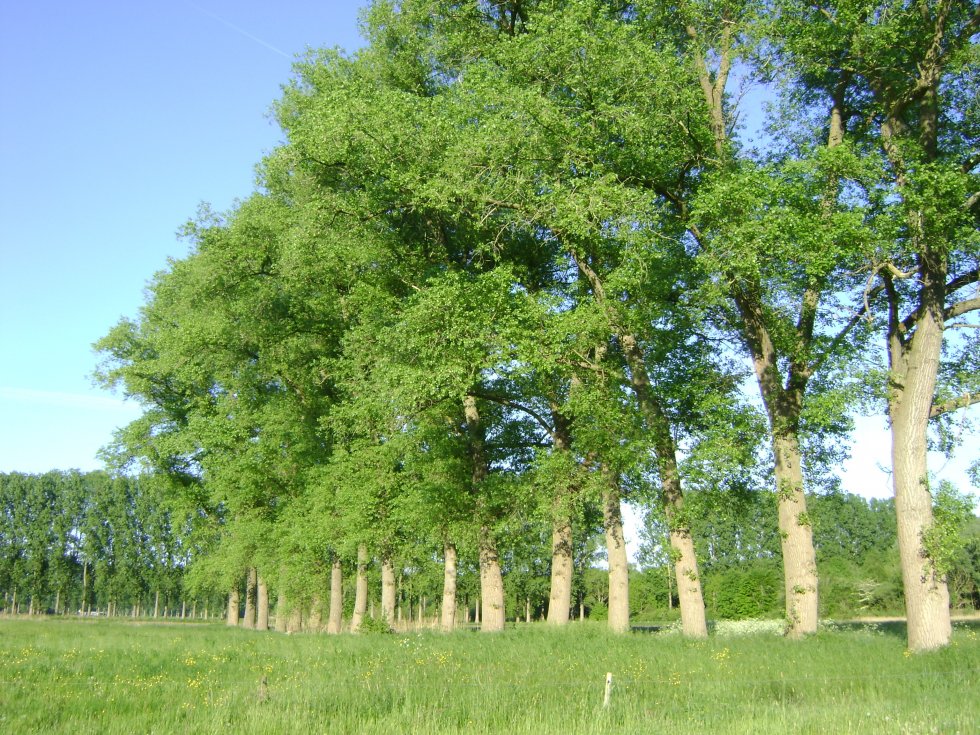 Bezoek Arboretum Willy Spierings Liempde