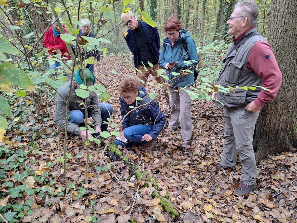 Paddenstoelenwandeling Geelders 2025