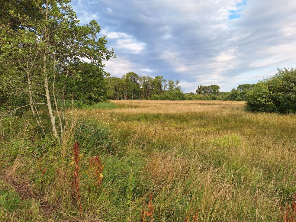 Wandeling Boktse Beemden in Son