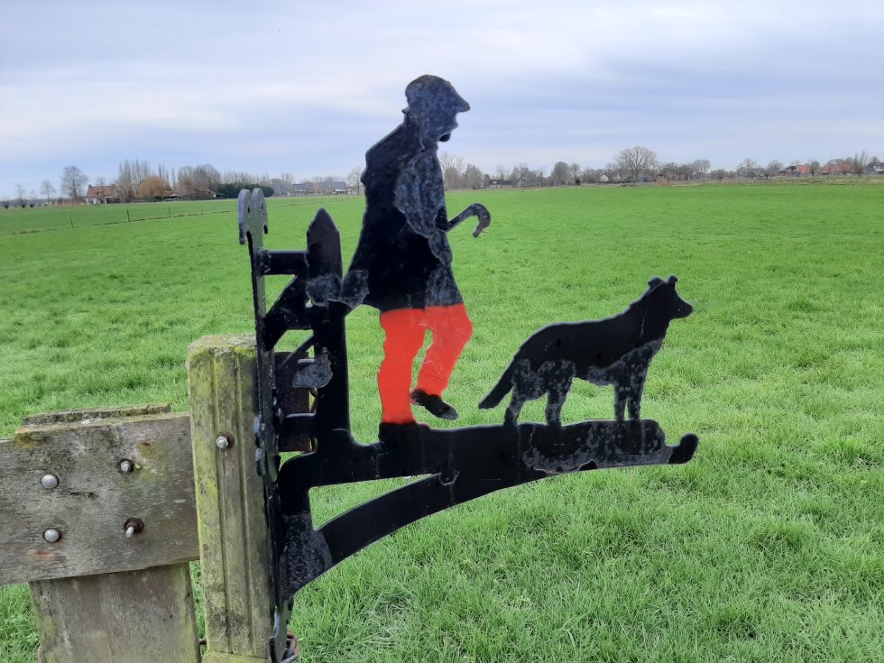 Bezoek Schaapskudde Strabrecht