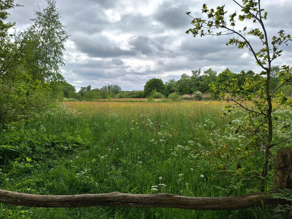 Wandeling De Hoogert Gemonde