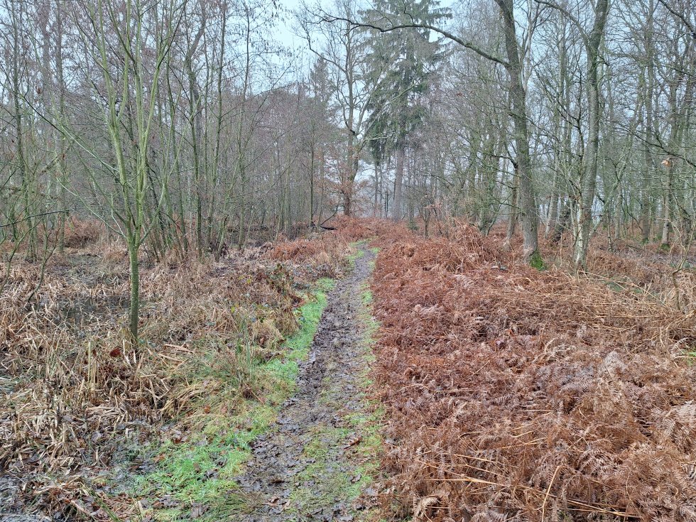 Wandeling De Mortelen