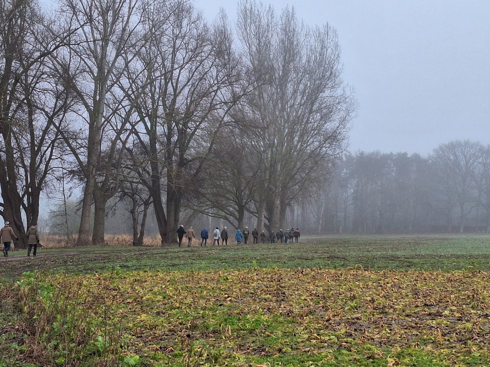 Update Jaarprogramma 2026