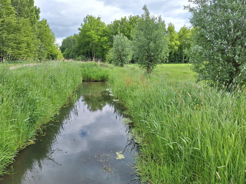 Wandeling langs Groote Waterloop