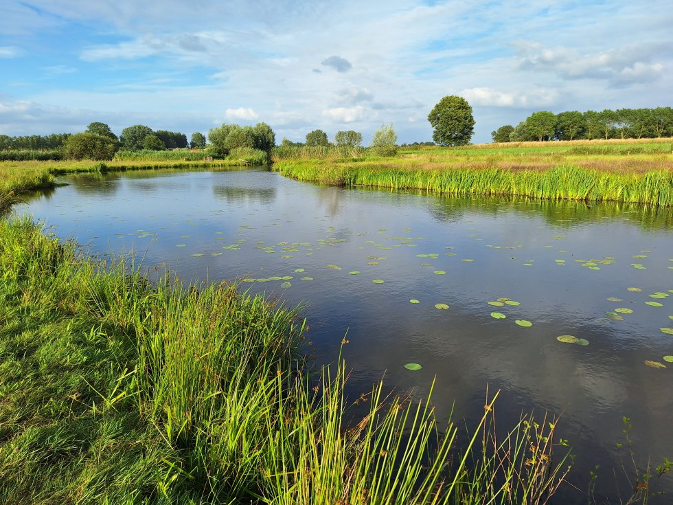 Wandeling Dynamisch Beekdal