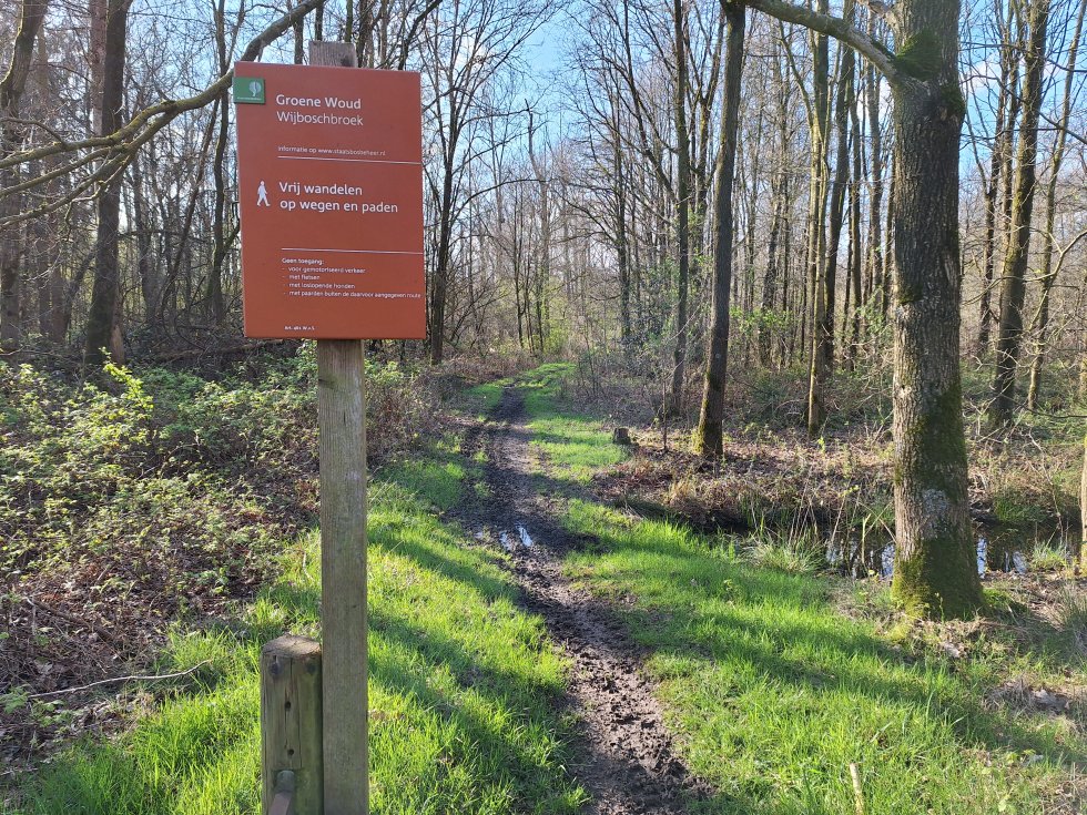 Wandeling Herstel Natte Natuurparel Wijboschbroek